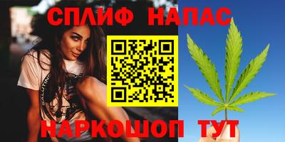 дмт Будённовск