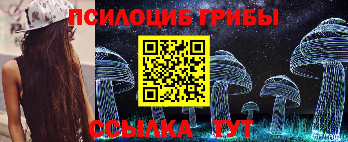 Псилоцибиновые грибы Psilocybine cubensis  Вход с VPN  Нижнекамск 