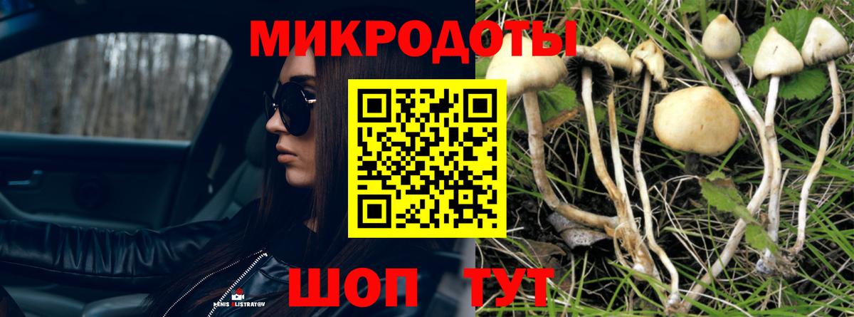 Псилоцибиновые грибы Magic Shrooms Нижнекамск